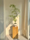 Liquan Maple Simulated Green Plants, High-End Living Room, New Chinese Zen Tea Room, Entrance Cabinet, Landscaping Decorative Potted Ornaments
