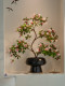 Simulated Wet-Look Entryway Bonsai, High-Quality Decorative Fake Floral Arrangements, Luxury and Realistic Decorations for Living Room and Tea Room