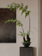 Faux Fern Potted Plant, Artificial Flowers, New Chinese-Style Tea Room Decoration, Zen-Inspired High-End Vintage Atmosphere