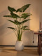 High-End Large Artificial Green Plant, Fake Potted Plant, Realistic Atmosphere for Living Room and Tea Room