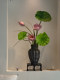 Simulated Lotus Flowers with a High-End, Realistic Feel, New Chinese-Style Decorative Pieces for Entrance, Tea Room, and Dining Table, Artificial Flower Arrangements with Sino-Eastern Aesthetics