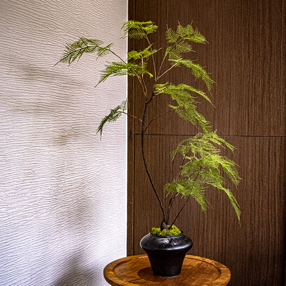 Asparagus artificial green plants, artificial flowers, high-end antique style, new Chinese tea room decoration, Zen entrance ornaments, small bonsai