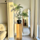 Jacaranda Artificial Green Plant, High-End Light Luxury Chinese Zen Style Desktop Plant, Small Potted Plant, Entrance Hall Fake Flower Decoration