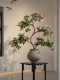 Simulated Wet-Look Entryway Bonsai, High-Quality Decorative Fake Floral Arrangements, Luxury and Realistic Decorations for Living Room and Tea Room