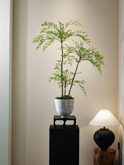 Nantian Bamboo Artificial Green Plant with a High-End Feel, New Song-Style Tea Room Decoration Bamboo, Tea Room Entrance Ornament, Bonsai Ceramic