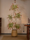 High-End Colorful Nandina Large Floor-Standing Artificial Green Plant for Indoor Living Room, Dining Room, Tea Room, Faux Tree Landscaping, Vintage Style