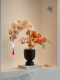 Artificial Phalaenopsis Orchid Plant Bonsai, High-End Realistic Decoration for Entryway, Living Room, Dining Room, and Tabletop