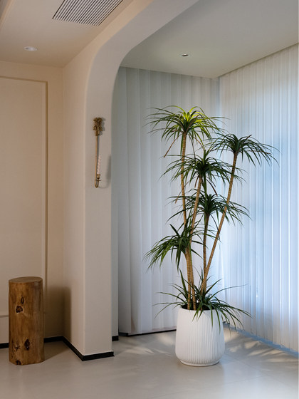 Haohongjingpin Dragon's Blood Tree Artificial Green Plant, High-End Light Luxury Indoor Living Room, High-Class Large Floor-Standing Potted Plant Decoration