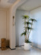 Haohongjingpin Dragon's Blood Tree Artificial Green Plant, High-End Light Luxury Indoor Living Room, High-Class Large Floor-Standing Potted Plant Decoration