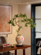 Artificial Bonsai Tree with Water Stone, Realistic Green Plant, High-End Faux Flower Decoration for Tea Table, Vintage Sofa, Living Room Decor