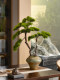 Pine Tree Bonsai Artificial Green Plant Ornament, High-End Realistic Chinese-Style Entrance Hall Tea Room Light Luxury Decoration, Song Dynasty Aesthetics