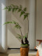 Faux Fern Potted Plant, Artificial Flowers, New Chinese-Style Tea Room Decoration, Zen-Inspired High-End Vintage Atmosphere