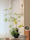 Bamboo Phalaenopsis Bonsai Artificial Green Plant Fake Flower Song-Style High-End Realistic Chinese Tea Room Zen Decorative Ornament