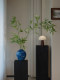 Bamboo Artificial Green Plant Potted Plant, Song Dynasty Aesthetics, Soft Decoration, Zen Style Ornament, Chinese-Style Living Room, Dining Room, Tea Room, Study Room Decoration