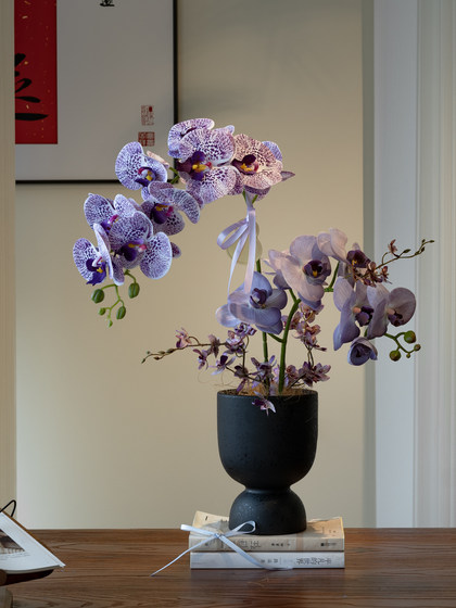 Artificial Phalaenopsis Orchid Plant Bonsai, High-End Realistic Decoration for Entryway, Living Room, Dining Room, and Tabletop