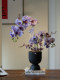 Artificial Phalaenopsis Orchid Plant Bonsai, High-End Realistic Decoration for Entryway, Living Room, Dining Room, and Tabletop