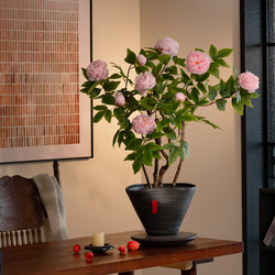 Peony Artificial Flower, High-End Fake Flower for New Year, Song Dynasty Aesthetics, New Year's Eve Decoration for Guest Room, Restaurant, Entrance Hall, Realistic Ornament