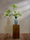 Nantian Bamboo Artificial Green Plant, High-End Traditional Chinese Style, New Chinese Style Tea Room Decoration, Bamboo Tabletop Entrance Hall Ornament, Bonsai