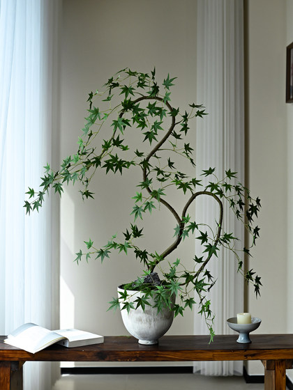 Flowing Spring Maple Artificial Green Plant Fake Flower Zen-Inspired New Song-Style Tea Room Decoration Entrance Ornament High-End Small Bonsai