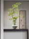 Artificial Maple Greenery and Flowers in a Modern Song-Style Aesthetic for Tea Room Decoration, High-End Entryway Ornament, and Luxurious Bonsai