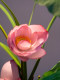Haohong Jingpin Lotus Artificial Flower, High-End and Realistic, New Chinese Style Entrance Hall, Tea Room, Dining Table Decoration, Fake Flower Arrangement