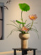 Simulated Lotus Flowers with a High-End, Realistic Feel for Dining Table, Living Room Bonsai, Artificial Flowers, Song Dynasty Aesthetic Decorative Ornaments, Vase, Entryway