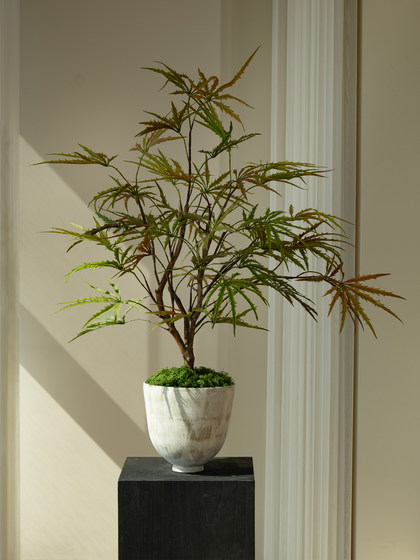 Colorful Gradient Peacock Wood Fortune Tree, Artificial Green Plant, High-End Decorative Ornament, Fake Flower, Small Potted Plant, Vintage Tea Room