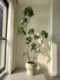 Haohongjingpin Duckbill Tree Artificial Green Plant Indoor Bionic Potted Plant High-End Light Luxury Living Room Large Floor-Standing Fake Plant