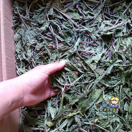 21 years New grass roasting dandelion grass 150G Rabbit rabbit Fever and detoxifying health care grass