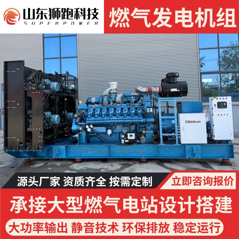 Large Gas Generator Set 10-4000Kw Natural Gas Biogas Oil Field Farm High Power Parallel Grid