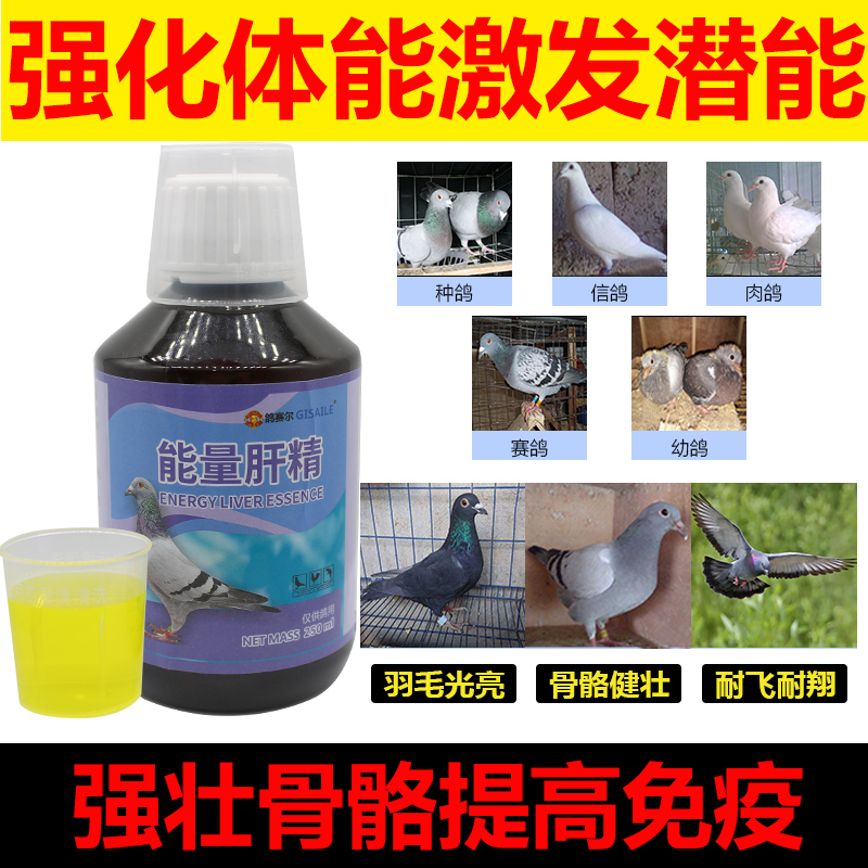 Pigeon Saier Năng lượng Gan 250ml Racing Pigeon Pigeon Cung cấp Pigeon Pigeon Thuốc bổ sung Pigeon - Chim & Chăm sóc chim Supplies lồng hoạ mi