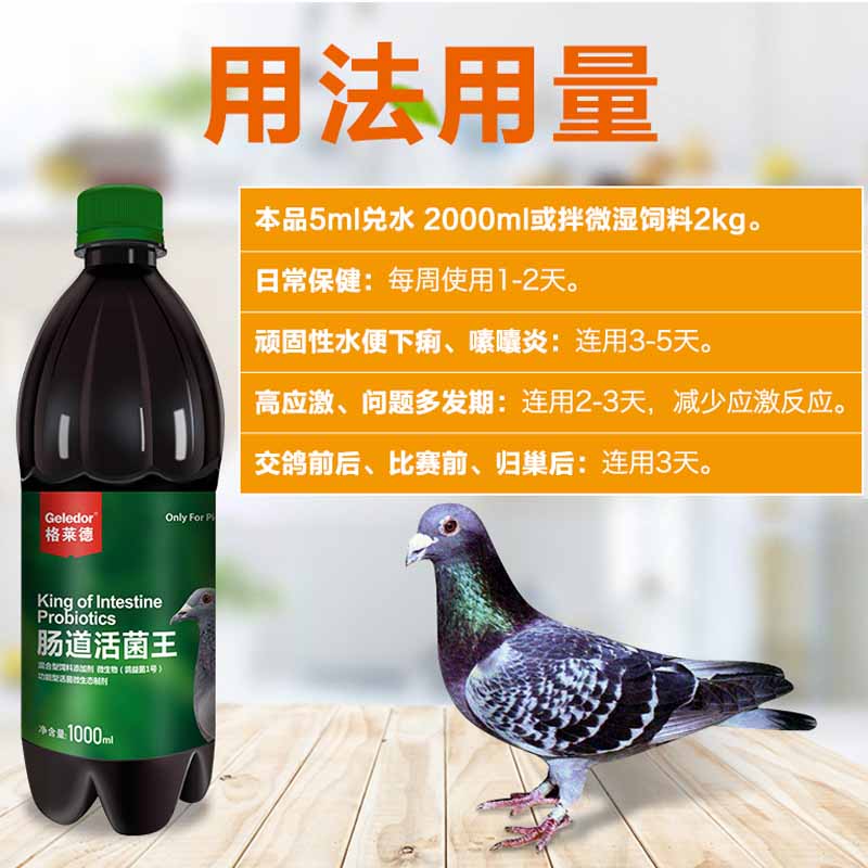 Chim bồ câu Glyde Thuốc chim bồ câu Daquan sử dụng vi khuẩn sống ruột vua điều hòa nước xanh xinxin chim bồ câu cung cấp sức khỏe cho vẹt chim vi khuẩn sống - Chim & Chăm sóc chim Supplies lồng chim sáo