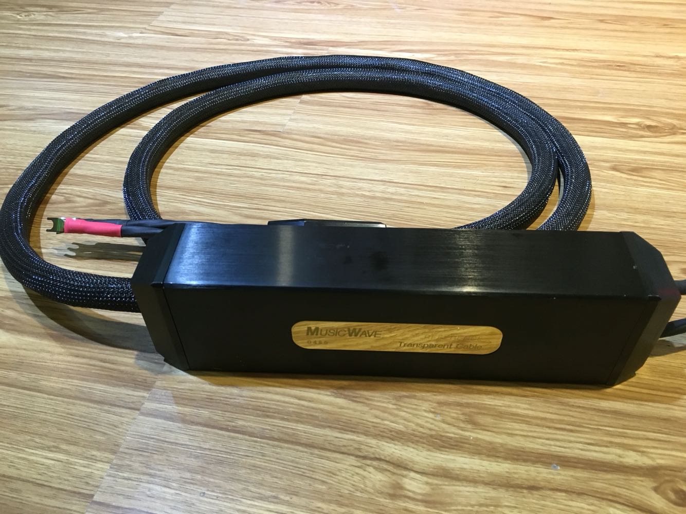 American Sky Fairy is worthy of the MusicWAVE horn line