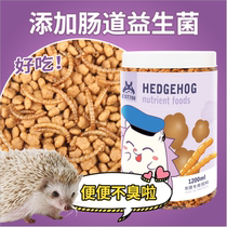 Africa Mini Hedgehog Living Things Pet Food Staple Food Supplies Assassin for Bread Worm Dry Feed
