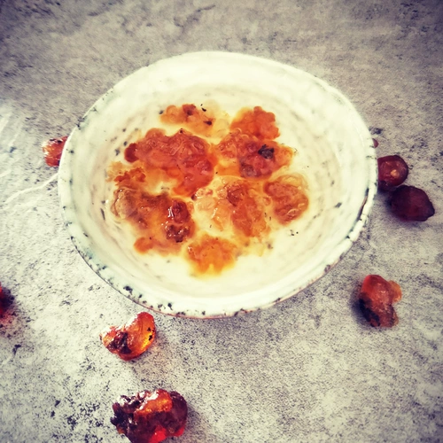 Персиковая резинка сапонин Ми Сюэян Комбинация Юньнань Семена Семя, чтобы съесть слезы с цветом персика