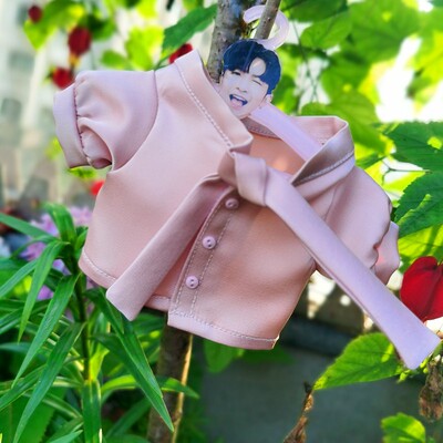 taobao agent Hong Kong Mirror Lu Hanting Anson Lo cotton doll pink shirt Jiang Tao supports star doll doll