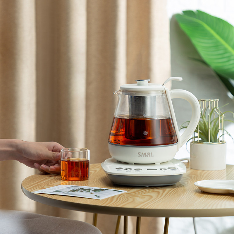 Seymour multifunctional household mini glass health pot office small electric heat preservation flower teapot fruit teapot
