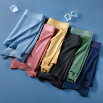 (3 packs) Gvzpea mens mesh breathable sexy quick-drying seamless one-piece translucent mid-waist boxer