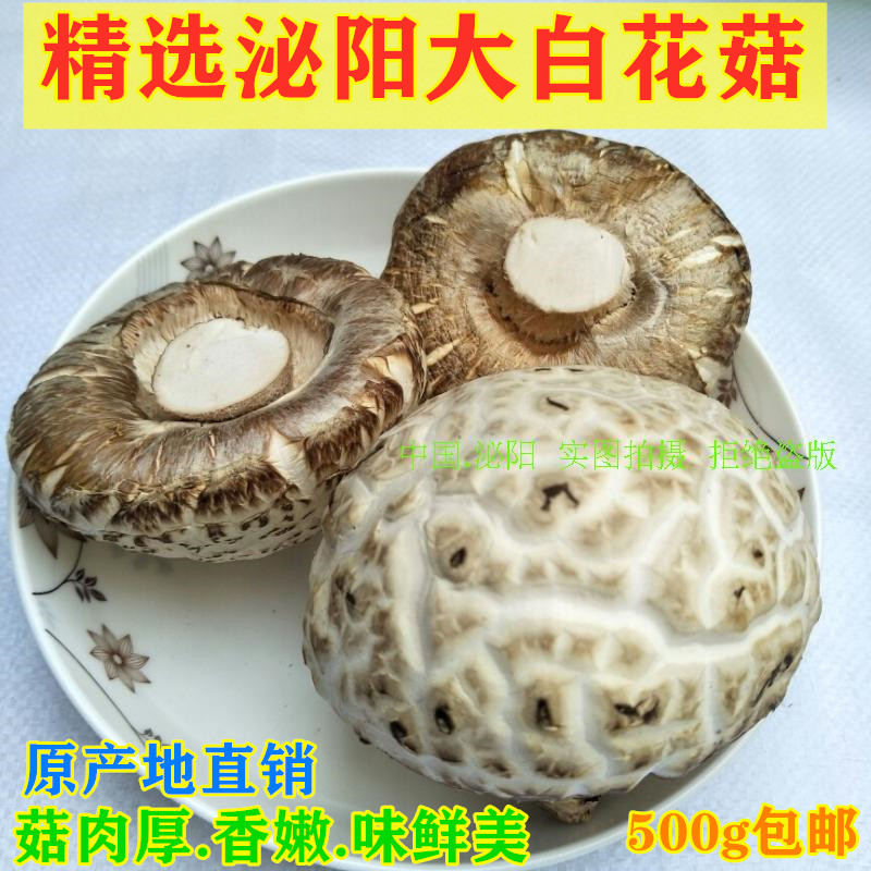 Mushroom new goods agricultural dry goods Biyang big flower shiitake mushroom taste tender and smooth cut feet 500g flower mushroom local specialty