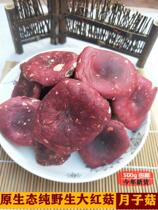 New raw mushroom natural wild pregnant woman moon mushroom super authentic Red Mushroom Red vertebra mushroom dried 500g