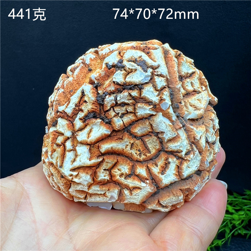 African Natural Opal Raw Stone, Natural Shaped Stone, Unique Stone Ornament, Turtle Back Stone, Figurative Stone for Decoration and Handling