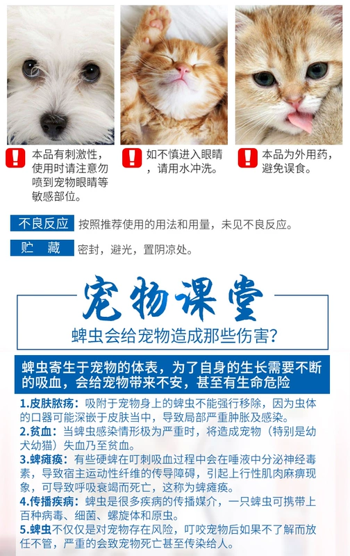 Dog 蜱 Thuốc trị bọ chét trong ống nghiệm diệt giun trong ống nghiệm ngoài việc nhảy ve để phun đờm bên ngoài - Cat / Dog Medical Supplies