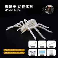 Отопия Big Box Spider -King (модель охвата) (цена очистки)