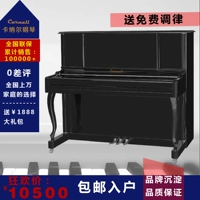 包邮 卡纳尔 立式 钢琴 123 Mới dành cho người mới bắt đầu chơi đàn piano 88 phím dành cho người lớn piano điện