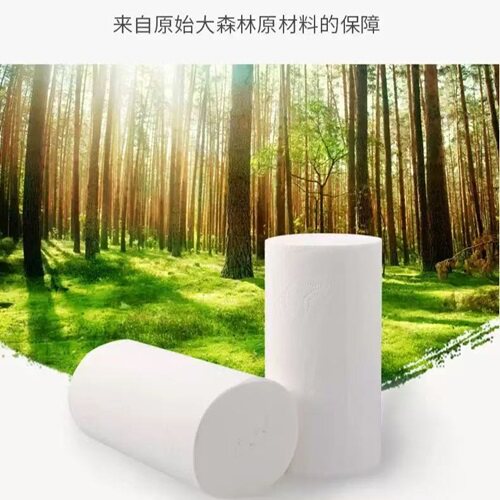 卷纸X1