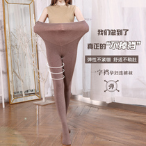 Pregnant woman beats bottom pants with no fall autumn winter and velvety thickened with pantyhose grey woman external wearing toss stockings stockings