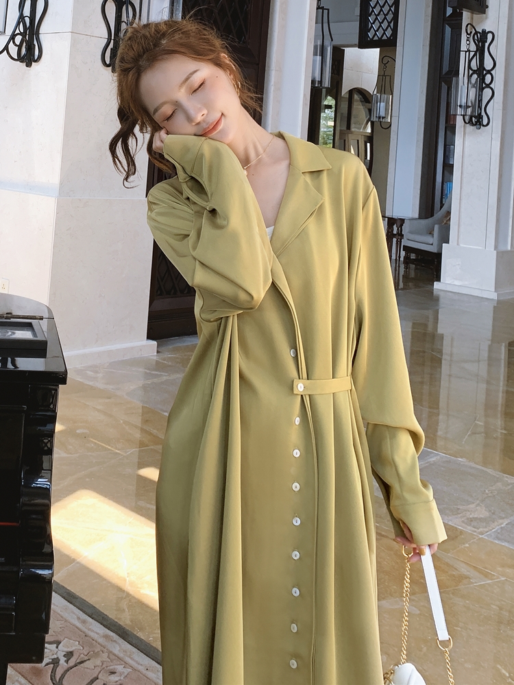 Pregnant women's tide 2021 new spring and autumn Europe and America high-end large size late pregnancy fashion age Foreign school dress
