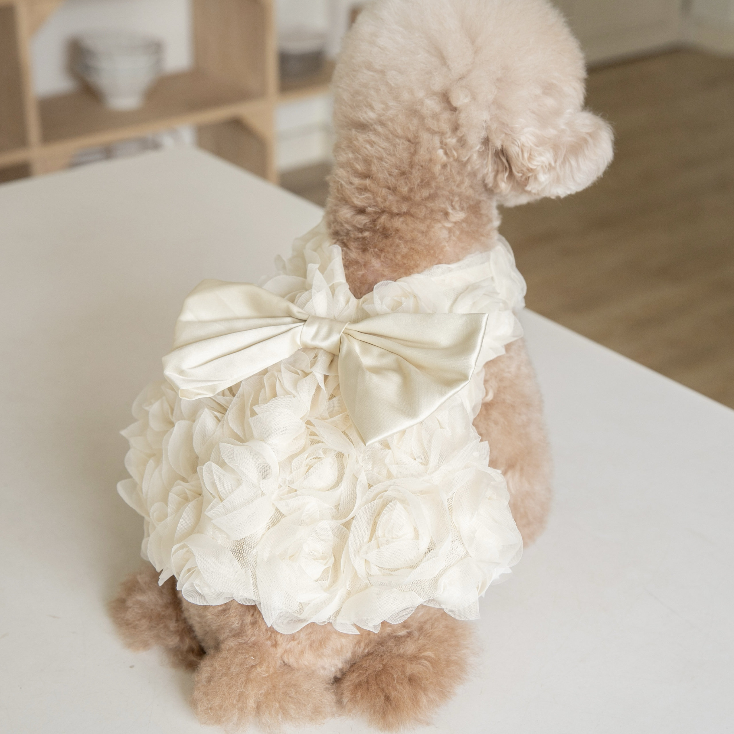 sachin and babi light blue dress My fairy dress