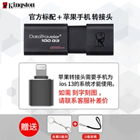 DT100-256G + пересадка яблока (требуется для iOS13 или более)