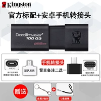 DT100-256G Официальный стандарт